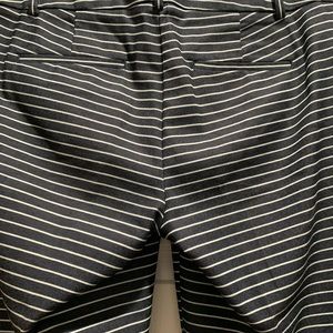 Ankle Length pants
